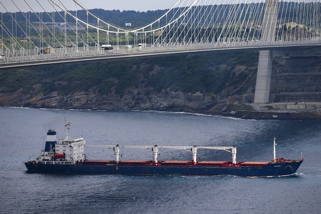 Ουκρανία: Το πρώτο πλοίο με ουκρανικά σιτηρά έδεσε σε λιμάνι της Τουρκίας