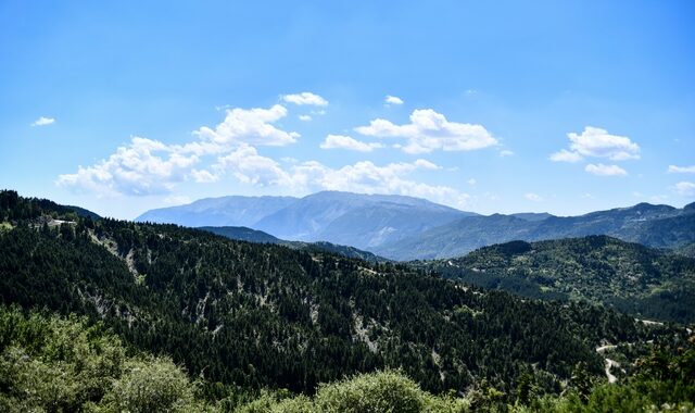 Έγκλημα στην Άρτα: Σκότωσε τον πεθερό του και κρύβεται στα βουνά – Ανθρωποκυνηγητό για τον εντοπισμό του