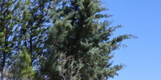 Αττική, Στερεά Ελλάδα και Βόρειο Αιγαίο: Πολύ υψηλός ο κίνδυνος πυρκαγιάς την Παρασκευή