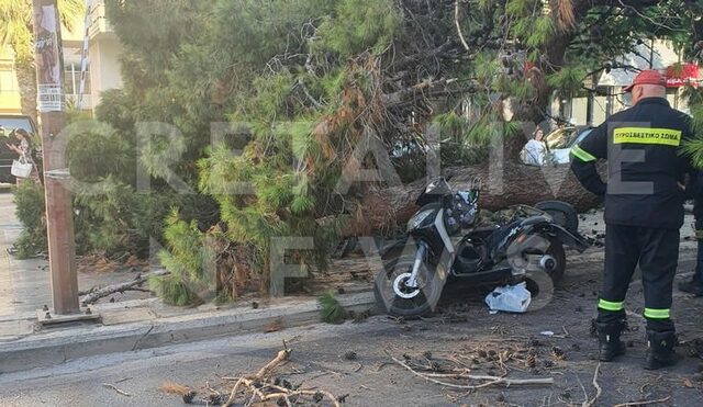 Κρήτη: Νεκρός οδηγός μηχανής – Καταπλακώθηκε από δέντρο ενώ περίμενε στο φανάρι