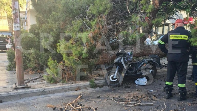 Κρήτη: Νεκρός οδηγός μηχανής – Καταπλακώθηκε από δέντρο ενώ περίμενε στο φανάρι