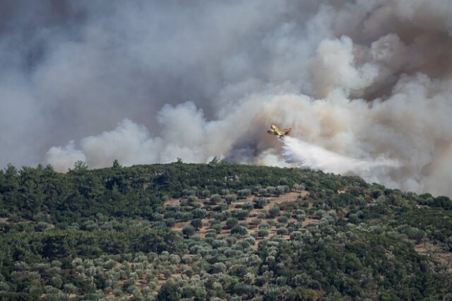 Φθιώτιδα: Φωτιά στο Πετρωτό Δομοκού