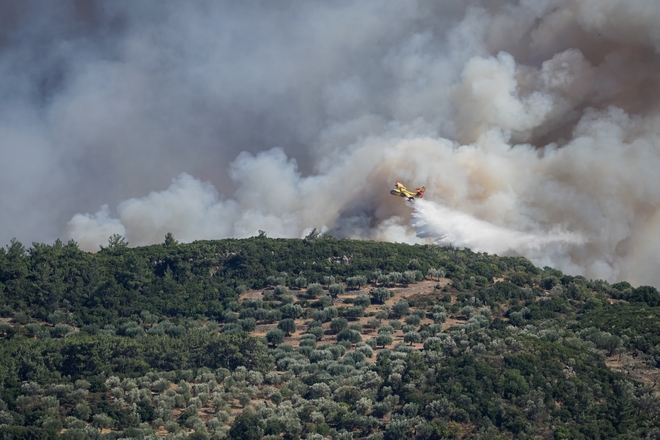 Φθιώτιδα: Φωτιά στο Πετρωτό Δομοκού