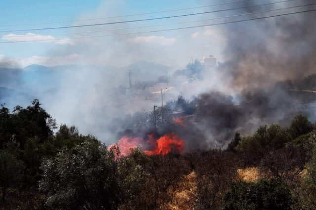 Οριοθετήθηκε η φωτιά στα Πυργιώτικα Ναυπλίου