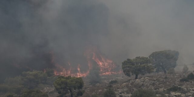 Φωτιές: Μαίνεται στον Δομοκό, σε ύφεση στη Σαμοθράκη