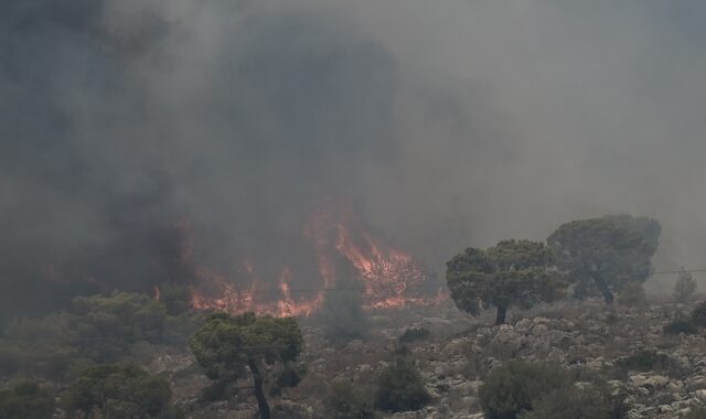 Φωτιές: Μαίνεται στον Δομοκό, σε ύφεση στη Σαμοθράκη