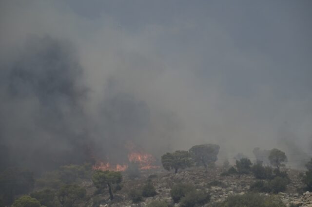 Φωτιά στη Βασιλική Λακωνίας