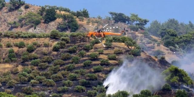 Κρήτη: Συνελήφθη 86χρονος για τη μεγάλη φωτιά στη Βιάννο – Εικόνες από την καταστροφή
