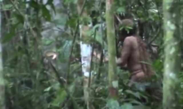 Αμαζόνιος: Πέθανε ο “άνθρωπος της τρύπας”, ο τελευταίος της φυλής του