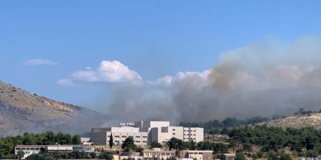 Φωτιά στη Χαλκίδα: Στη Νέα Λάμψακο το μέτωπο – Μεγάλη μάχη των πυροσβεστικών δυνάμεων