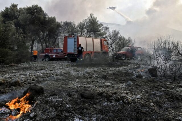 Πυροσβεστική: 39 δασικές φωτιές το τελευταίο 24ωρο