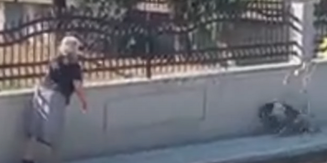 Θεσσαλονίκη: Δικογραφία σε βάρος 75χρονης που πέταξε χωρίς λόγο τη μαγκούρα της σε αδέσποτο σκύλο