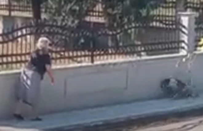 Θεσσαλονίκη: Δικογραφία σε βάρος 75χρονης που πέταξε χωρίς λόγο τη μαγκούρα της σε αδέσποτο σκύλο