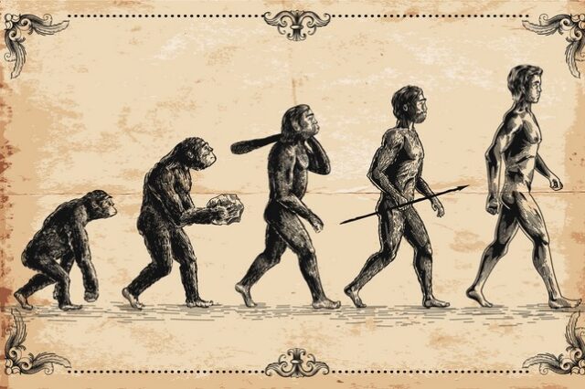 Σαχελάνθρωπος: Ο αρχαίος πρόγονος που περπατούσε στα δύο πόδια ήδη πριν 7 εκατομμύρια χρόνια