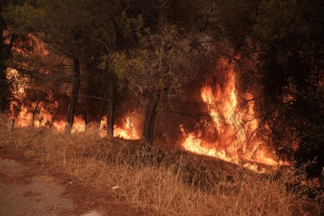 Φωτιές: Πολύ υψηλός κίνδυνος πυρκαγιάς την Κυριακή για πέντε περιφέρειες της χώρας