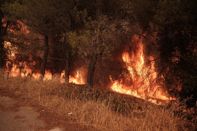 Φωτιές: Πολύ υψηλός κίνδυνος πυρκαγιάς την Κυριακή για πέντε περιφέρειες της χώρας