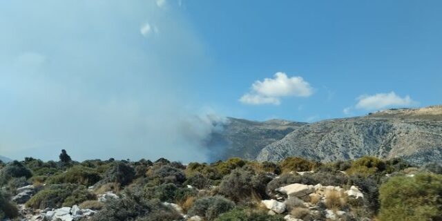 Φωτιά στην Κόρωνο Νάξου – Ισχυροί άνεμοι στην περιοχή