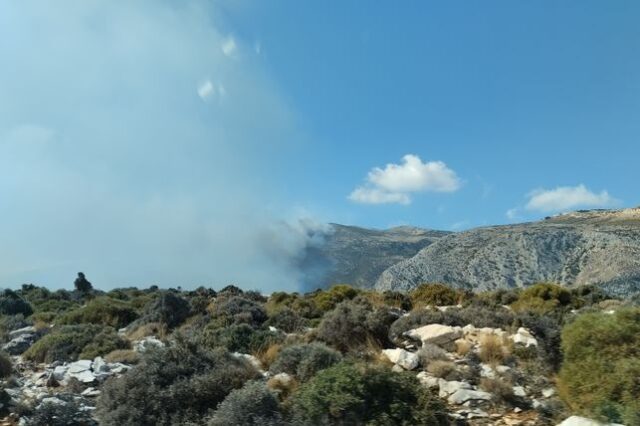 Φωτιά στην Κόρωνο Νάξου – Ισχυροί άνεμοι στην περιοχή