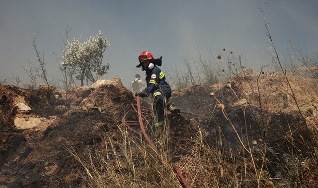 Φωτιές: Υπό μερικό έλεγχο σε Αράχωβα και Αχαΐα-Μαίνονται σε Σαμοθράκη και Δομοκό