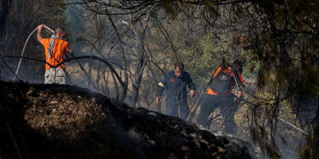 Κορυδαλλός: Συναγερμός για φωτιά  κοντά σε σπίτια