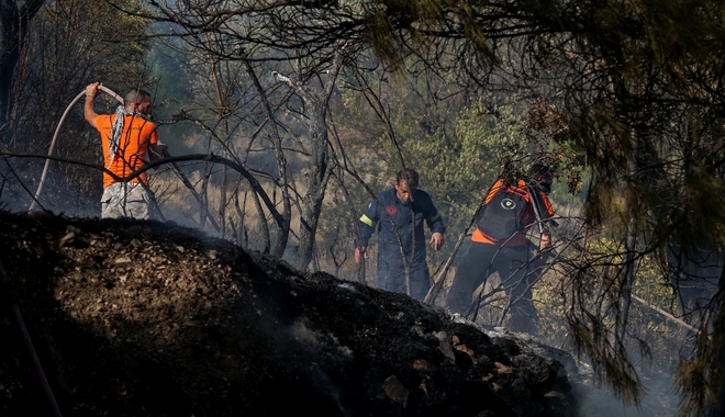 Κορυδαλλός: Συναγερμός για φωτιά  κοντά σε σπίτια