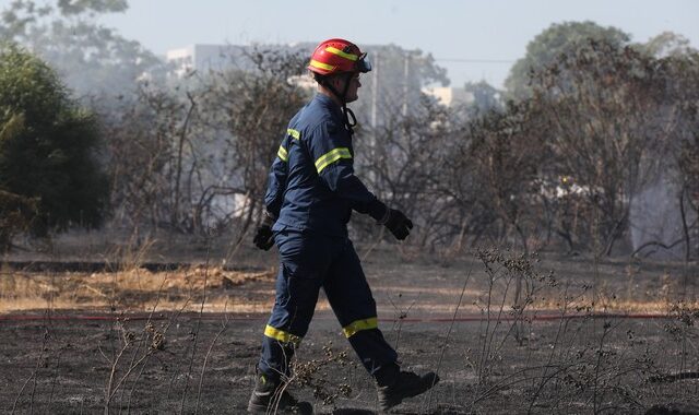 Σε ύφεση η φωτιά στη Θάσο – Οριοθετήθηκε το μέτωπο στο Βιάννο Κρήτης