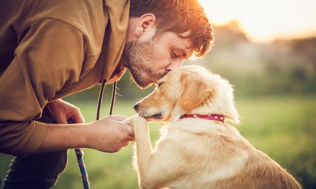 Ευλογιά των πιθήκων: Ενδείξεις ότι ίσως μεταδίδεται από τους ανθρώπους στα σκυλιά