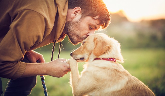 Ευλογιά των πιθήκων: Ενδείξεις ότι ίσως μεταδίδεται από τους ανθρώπους στα σκυλιά