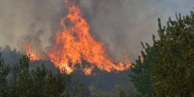 Φωτιές στη Θάσο: Προφυλακιστέος ο 65χρονος κατηγορούμενος – “Την έβαλα για να γελάω”, είπε