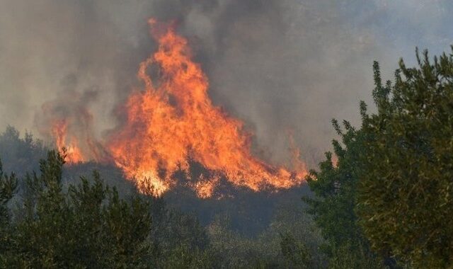 Φωτιές στην Θάσο: Στον εισαγγελέα θα οδηγηθεί ο κατηγορούμενος ως εμπρηστής