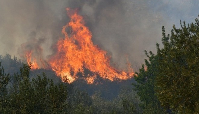 Φωτιές στην Θάσο: Στον εισαγγελέα θα οδηγηθεί ο κατηγορούμενος ως εμπρηστής