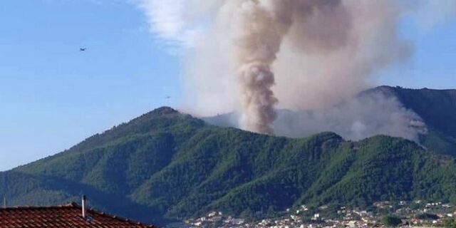 Φωτιά στη Θάσο: Σύλληψη 65χρονου – Εντοπίστηκε εύφλεκτο υλικό στο αυτοκίνητό του