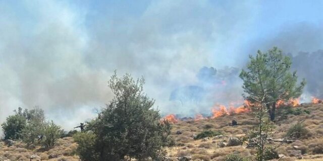 Υπό έλεγχο η φωτιά στον Πετσοφά Λέσβου