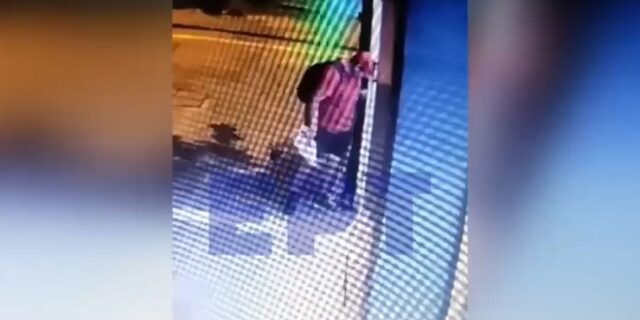 Θεσσαλονίκη: Ελεύθερος χωρίς περιοριστικούς όρους ο 40χρονος που ποδοπάτησε γατάκι