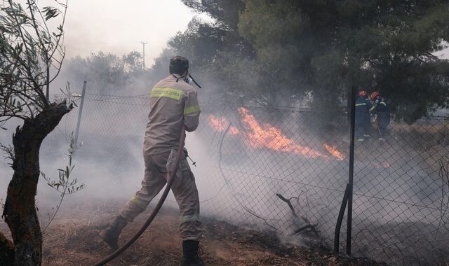 Οριοθετήθηκε η φωτιά στο Μαρκόπουλο Αττικής