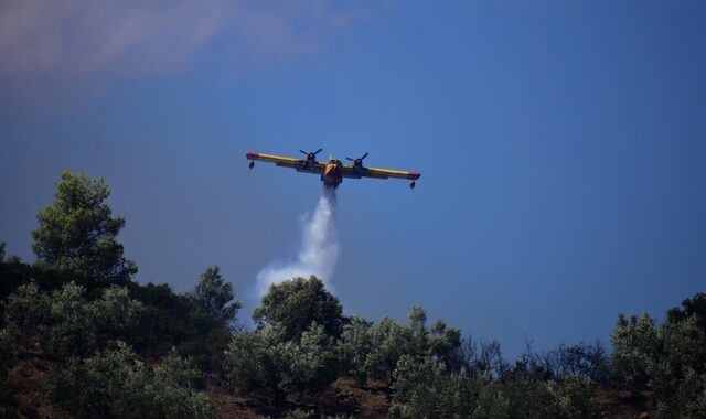 Φωτιά στο Μάνεσι Καλαβρύτων – Βελτιωμένη εικόνα