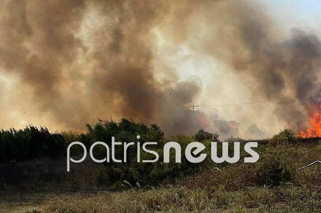 Ηλεία: Φωτιά κοντά σε σπίτια στη Σπιάντζα
