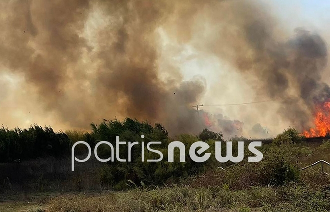 Ηλεία: Φωτιά κοντά σε σπίτια στη Σπιάντζα