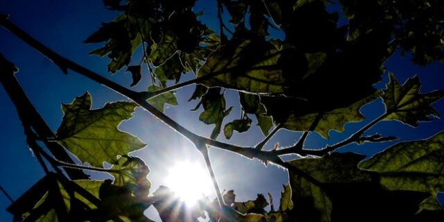 Καιρός: Μικρή άνοδος της θερμοκρασίας το Σάββατο