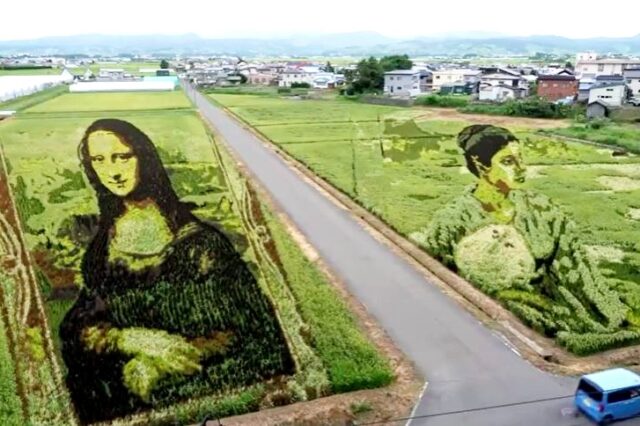 Χωριό στην Ιαπωνία ζωγραφίζει αριστουργήματα σε ρυζοχώραφα – Πώς έφτιαξαν τη Mona Lisa