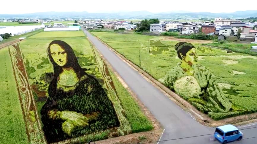 Χωριό στην Ιαπωνία ζωγραφίζει αριστουργήματα σε ρυζοχώραφα – Πώς έφτιαξαν τη Mona Lisa