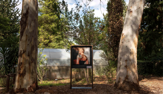 Sheltered Gardens: Η σύγχρονη Τέχνη ανοίγει συζητήσεις μέσα σε έναν κρυφό βοτανικό παράδεισο