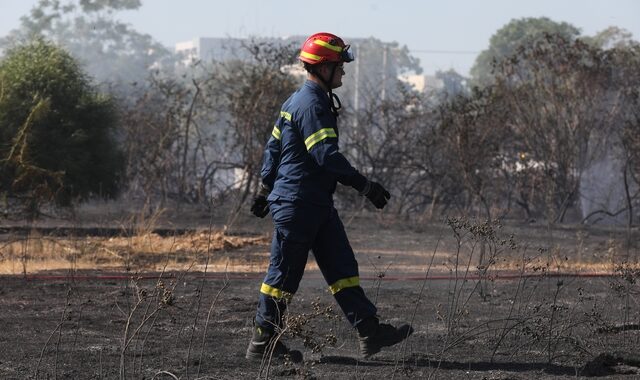 Φωτιές: Προφυλακιστέος ο 20χρονος που έβαλε πέντε πυρκαγιές στην Κάρυστο