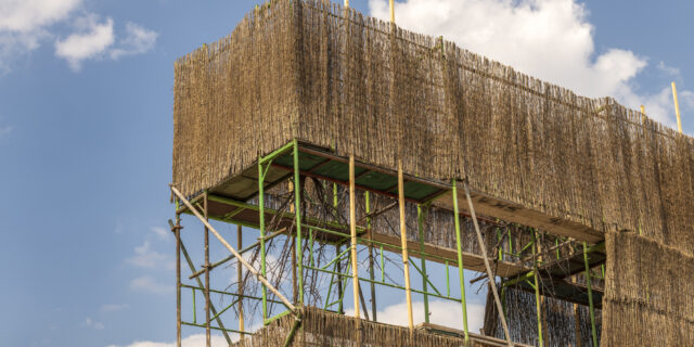 Στάχυα πέφτουν σε τσιμεντένια δάπεδα στην Ελευσίνα