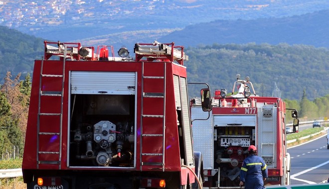Κόρινθος: Πυρκαγιά σε δασική έκταση στο Χιλιομόδι – Ισχυρές δυνάμεις στο σημείο