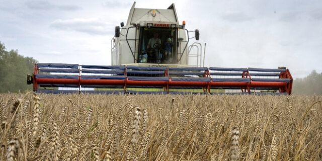 Greenpeace – Πόλεμος στην Ουκρανία και επισιτιστική κρίση στην Ευρώπη: Απομυθοποίηση σε 11 ερωτήσεις