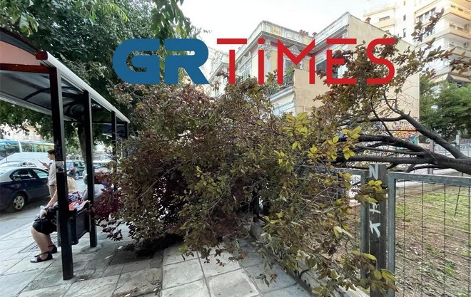 Θεσσαλονίκη: Προβλήματα λόγω των ισχυρών ανέμων – Έπεσαν δέντρα