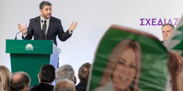 Ανδρουλάκης: “Η Φώφη Γεννηματά ανέλαβε την παράταξη στα πολύ δύσκολα και την κράτησε όρθια”