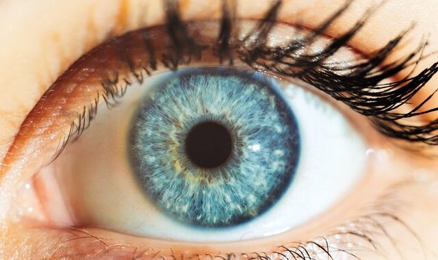 Όσοι έχουν μπλε μάτια στον πλανήτη, προέρχονται από τον ίδιο πρόγονο