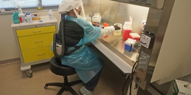 Σαρηγιάννης: Κρούσματα σε Αττική και Κρήτη από τις νέες μεταλλάξεις της Όμικρον